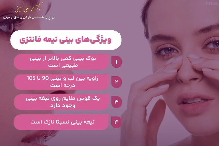 ویژگی های بینی نیمه فانتزی